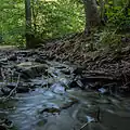 Schwarzbach im Nerotal