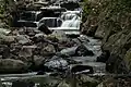 Der Rambach nahe dem Kurpark Wiesbaden