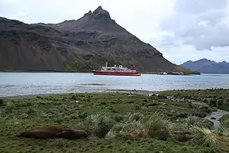 Mount Duse mit dem King Edward Point und dem Expeditionskreuzfahrtschiff M/S Expedition