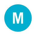 Rundes Liniensymbol mit dem weißen Großbuchstaben E in türkis-blau gefülltem Kreis vor neutralem Hintergrund