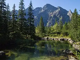 Małe Żabie Oko