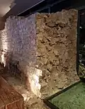 Westliche Kastellmauer im Museumskeller Derlon