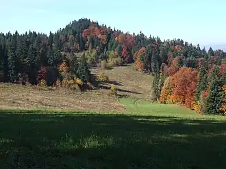 Gipfel