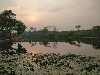 See im Nationalpark