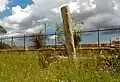 Menhir Calamauri