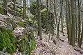 Wanderweg an den Magnetsteinen (2018)