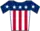 US-amerikanisches Meistertrikot