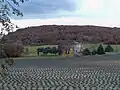 Lavendelfeld bei Sainte-Croix-à-Lauze