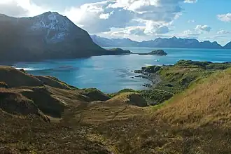 Blick über die Maiviken auf den Camp Peak (links)