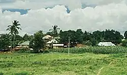 Landschaft in Makuyuni