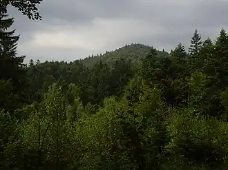 Blick auf den Gipfel