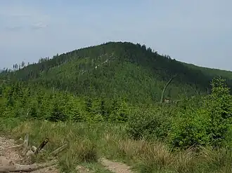 Gipfelbereich