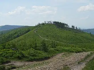 Gipfelbereich