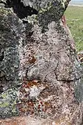 Inschrift 3, Westseite