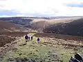 Ein typisches Landschaftsbild im Exmoor