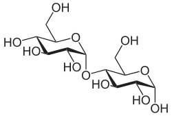 Struktur von Maltose
