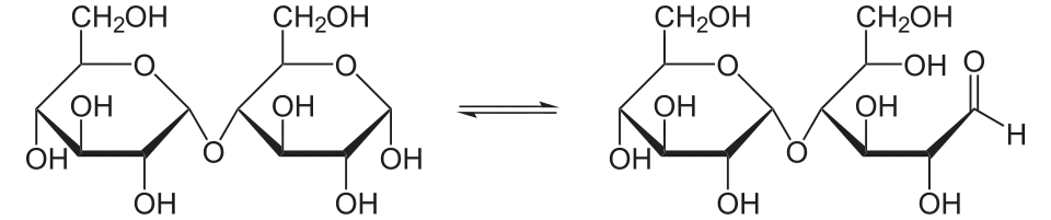 Gleichgewicht zwischen zyklischer und offener Form von Maltose