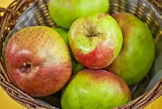 Rheinischer Winterrambur