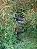 Zufluss zum Malzmüllerwiesenteich