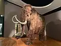 Rekonstruktion (Naturhistorisches Museum Basel)