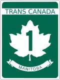 T1