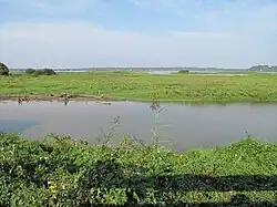 Marais d’Orx