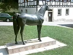 Hadban Enzahi ox