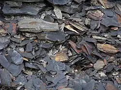 Marcellus Shale