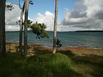 Mare aux Vacoas