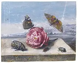 Schmetterlinge und Käfer um eine Rose auf einem Steinvorsprung, Gouache auf Pergament, 1655