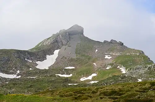 Glannachopf