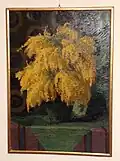 Mimose