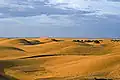 Dünen von Maspalomas im diffusen Sonnenaufgangslicht