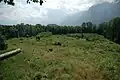 Aussicht vom Bergle nach Süden