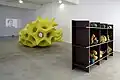 Modelle für zukünftige Organismen (Kunstraum Düsseldorf)