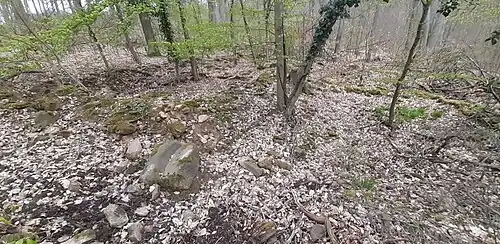 Blick von Westen auf die Grundmauerumrisse des Burghauses mit den Mauerresten des Anschlussgebäudes im Süden (rechts im Bild)