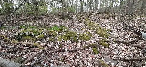 Blick von Osten auf die Überreste des Anschlussgebäudes im Osten
