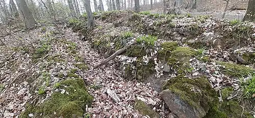Reste des Beringes im Norden am heutigen Wanderweg mit Resten eines doppelten Grabens