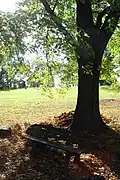 Max-Vogler-Park