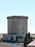Turm Mazuelo