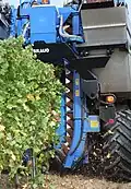 Traubenvollernter im Einsatz