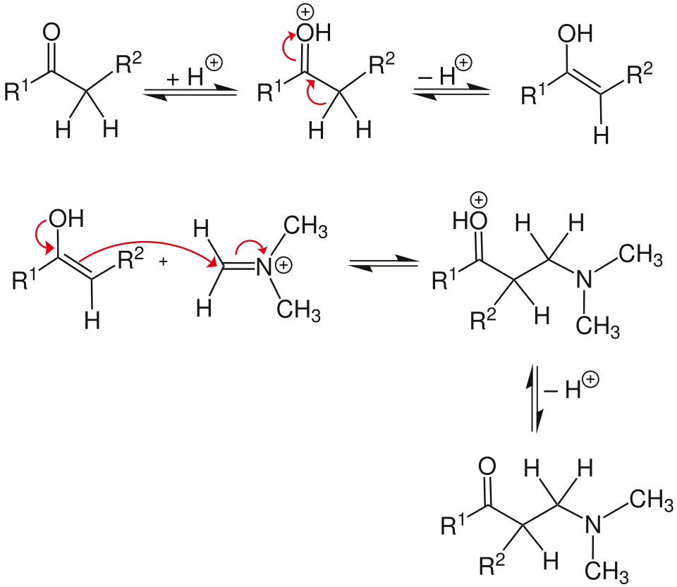 Mechanismus Mannich-Reaktion, Teil 2