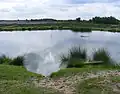 Kleiner See im Parkgebiet