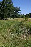 Bachversickerung „Am Wadenpohl“