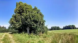 am Meilenberg