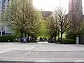 Ein von Bäumen gesäumter Gehweg am Morgen am Mel Lastman Square, Blick nach Osten in Richtung Yonge Street