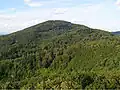Melibokus-Granodiorit (aus Richtung Auerbacher Schloss)
