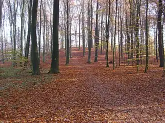 Der Mellenberg