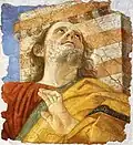 Apostelhaupt