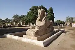 Alabastersphinx